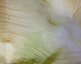 NO.12NGY(organdy) *dyeing