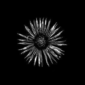 TOTÄMÄSS joel von moos konzertreihe requiem