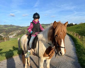 Reitunterricht, Islandpferde Wattwil