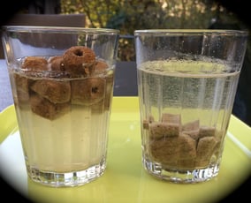 konventionelles vs natürlichem Trockenfutter | hundkatzeschmaus.ch