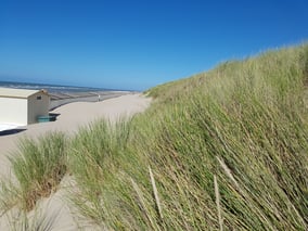 Strand von Oostkapelle