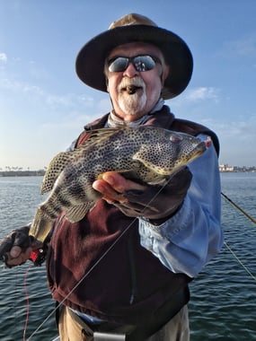 A nice Spotted Bay Bass (aka "Spottie")