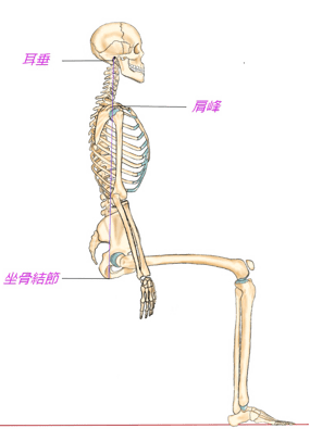 坐骨結節と重力の説明について　姿勢改善・歩き方改善ラボ【㈱n-position】骨盤コントロール補助器「ニュートラル」開発会社