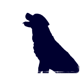 joelle-schaers Webseite!