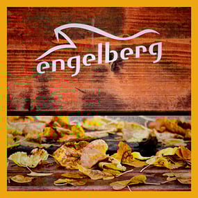 ENGELBERG/OW, 14. OKTOBER 2015 - 14. ACADEMIA ENGELBERG