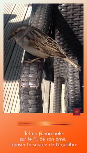 Jeu de Beauté © Création Caroline SIMON