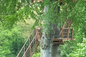 cabane dans les arbres pour  2 en baie de somme