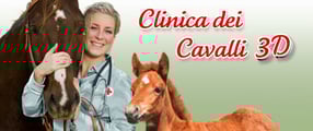 Game Banner Horse Vet 3D