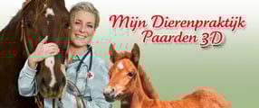 Game Banner Horse Vet 3D