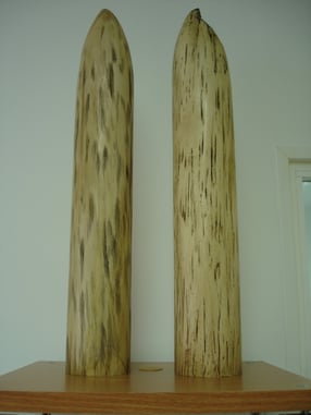 Imitación Marfil, colmillos