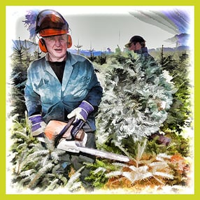 Hochsaison in der Baumschule Eschenbach