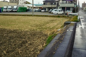 小田井輪中に残る水田