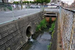 甲排水路からの分水(山西用水の流末)、暗渠から出てくる地点