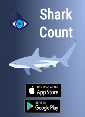 Shark count Icon