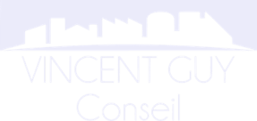 Vincent Guy Conseil Conseil en organisation pour les collectivités locales