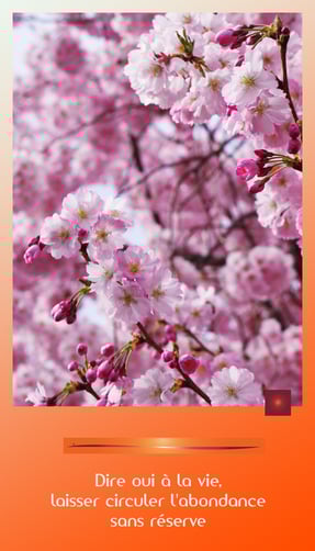 Jeu de Beauté © Création Caroline SIMON