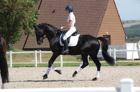 CUPIDO PB Painted Black / Jazz