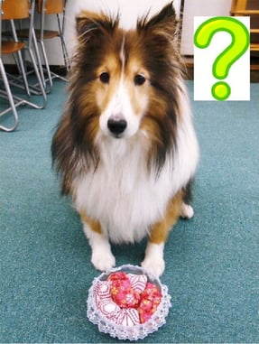 Erie in front of Bean-bags in LL Room