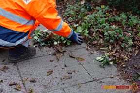 Bürgersteigreinigung Saubermänner Bremen