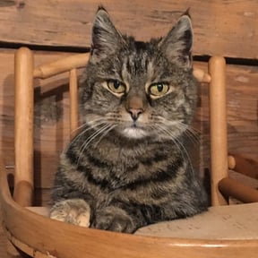 Madame, 2004 - 08.06.2024