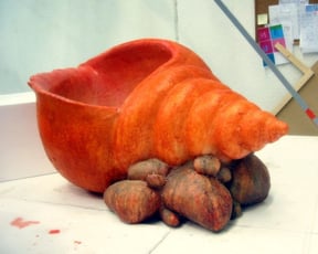 Caracola Gigante, Para Exposición.