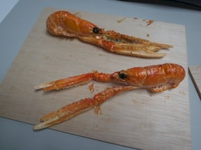 Crustaceos, ficticios