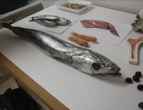 Alimentos del Mar, Exposición