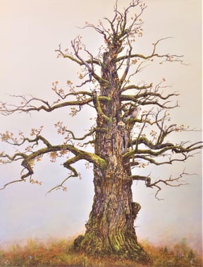 Eiche / Lebensbaum, € 490,-