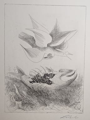 Lehmden Anton Fisch und Vogel Radierung