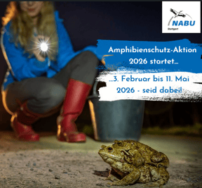 Foto: Jonathan Fieber