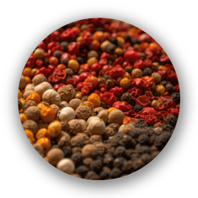 Pfeffer; Pefferkörner; Bunter Pfeffer; Szechuan; Kampott; Malaba; Telly Cherry; schwarz; grün; rot