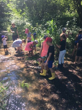 Foto: LBV Heidi Krempl