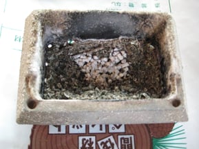 ペレットストーブ