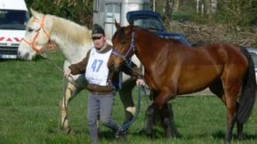 Shararat, jument baie 