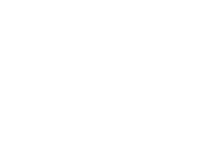 hoflindhorsts Webseite!