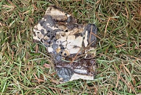 斉藤七海「落ち葉たち」