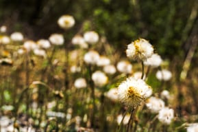 Die achtsame Selbstfürsorge