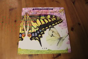 ファーブル昆虫記の虫たち　小学館