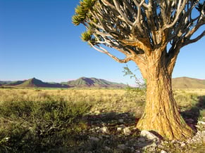 Gästefarm Ababis, Namibia, Foto: Ria Henning-Lohmann