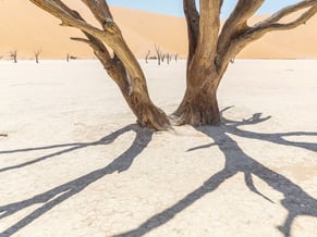 Sossusvlei, Namibia, Foto: Ria Henning-Lohmann