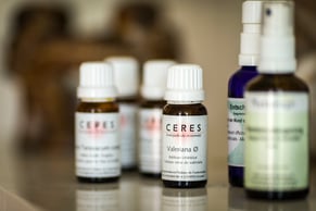 naturheilpraxis-koerper-entgiftung-naturheilpraxis-meggen