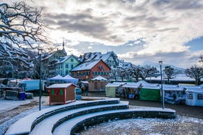 Schweiz Switzerland Kanton Zug Weihnachten Schnee