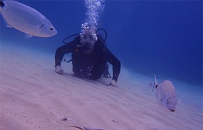 Tauchen auf Mallorca Son Amoixa Vell