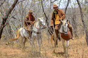 feria, misa vaquera, vaquero, equitación, brasil, espectáculo, fiesta, luiz gonzaga, sertão nordestino, serrita, árido semidesierto