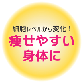 細胞レベルから変化！痩せやすい身体に