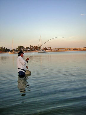 Summer wading and fly fishing Mission Bay, San Diego