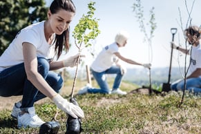 Agir pour la planète en reboisant et en créant des espaces naturels.