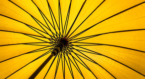 Allergien ganzheitlich behandeln 