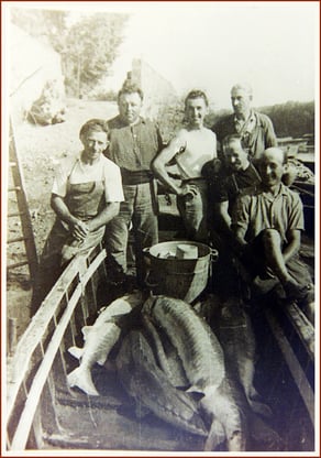 pays d’Orthe, Peyrehorade, Landes, Aquitaine, Barthouil, saumon, fumage, alose, caviar, aulne, pêche, adour, gave