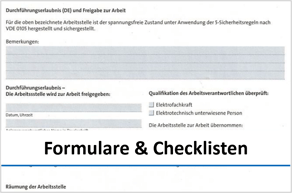 Formulare und Checklisten für Elektrofachkräfte - Peter Pusch - Florian Pusch - Schaltberechtigung